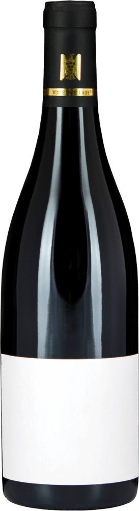 Preview: 12x Vorteils-Weinpaket Fellbacher Trollinger SINE trocken - Aldinger