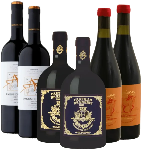 Enjoying red wine from Navarre - 6x discovery package