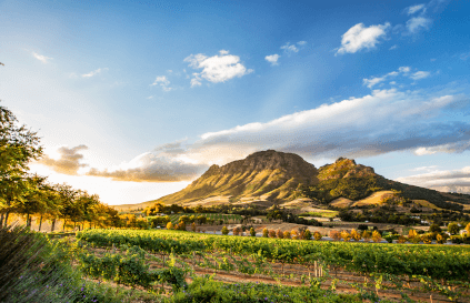Panorama of Stellenbosch Panorama of Stellenbosch