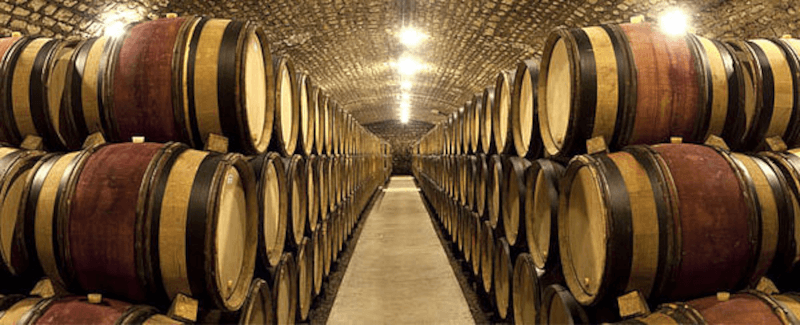In the barrel cellar of Moillard In the barrel cellar of Moillard