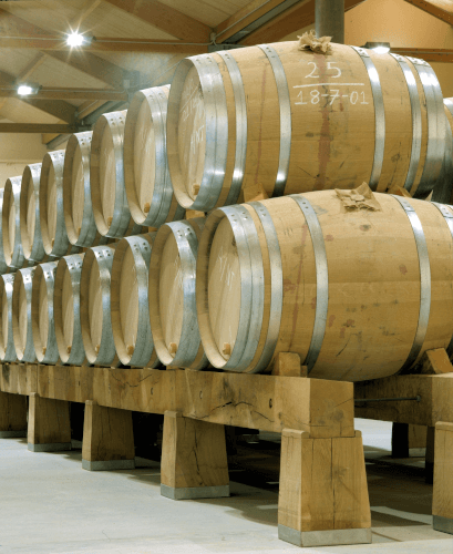 Aster wine cellar barrels