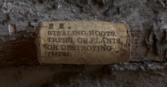 A cork - a crime