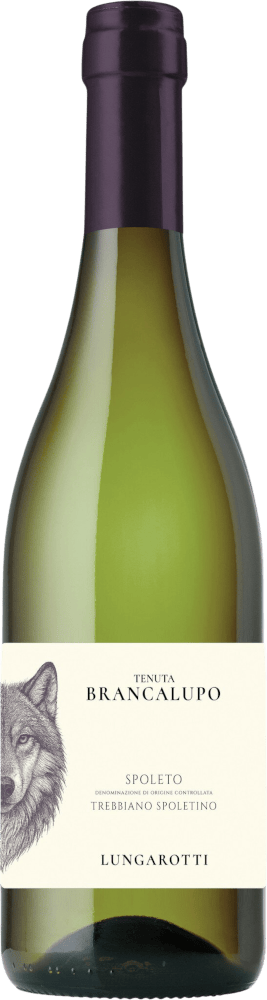 Preview: The perfect summer selection from Italy – 6x tasting case
