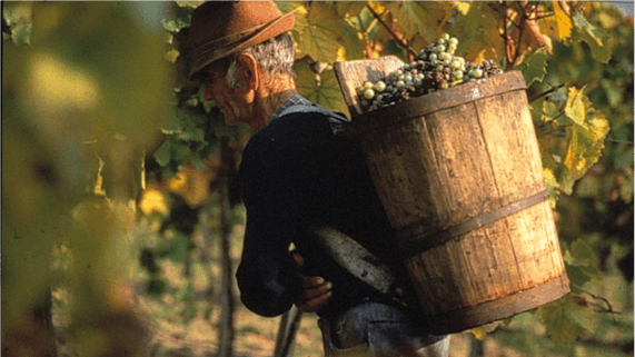 Oremus Tokaj